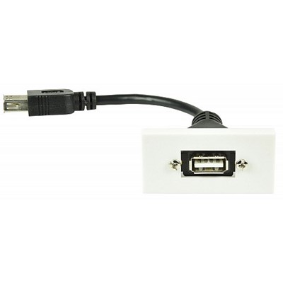 AV:Link W/Plate USB2.0 Module 50x25mm 122530